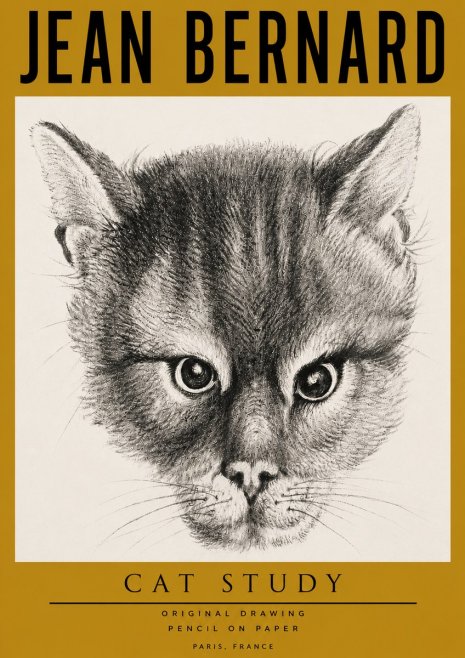 Jean Bernard Cat Study. Original Drawing No4 - Poster