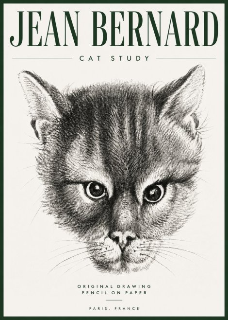 Jean Bernard Cat Study. Original Drawing No5 - Poster