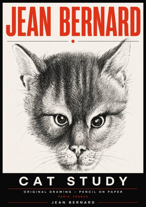Jean Bernard Cat Study. Original Drawing No6 - Poster
