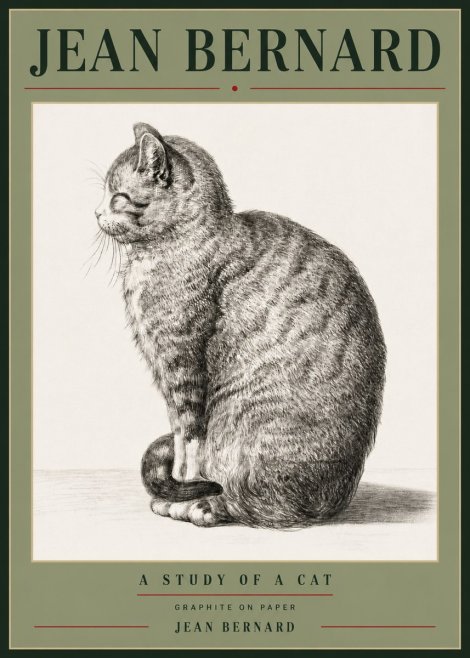 Jean Bernard Cat in Profile No6 - Poster