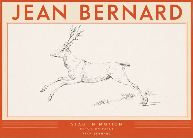 Jean Bernard Stag in Motion No2 - Poster
