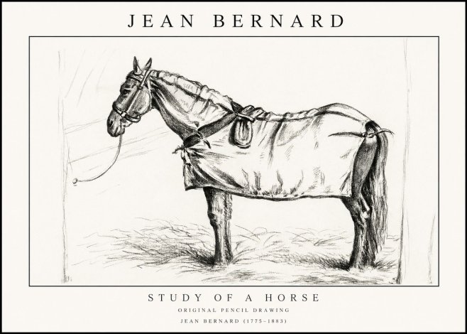 Jean Bernard Study of a Horse XI No1 - Poster