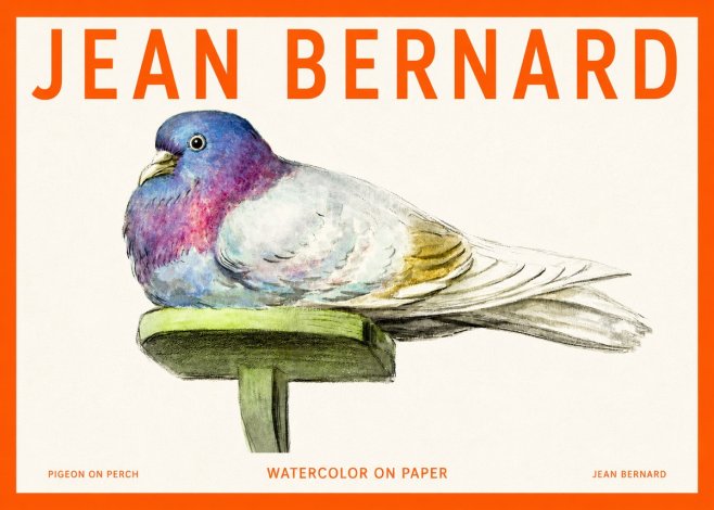 Jean Bernard Pigeon on Perch No2 - Poster