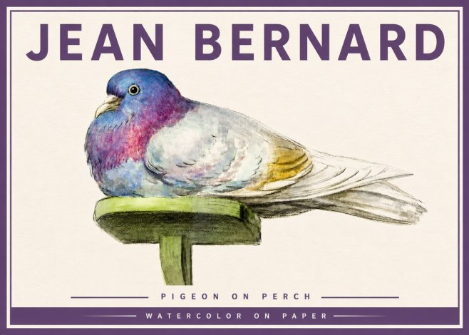 Jean Bernard Pigeon on Perch No4 - Poster