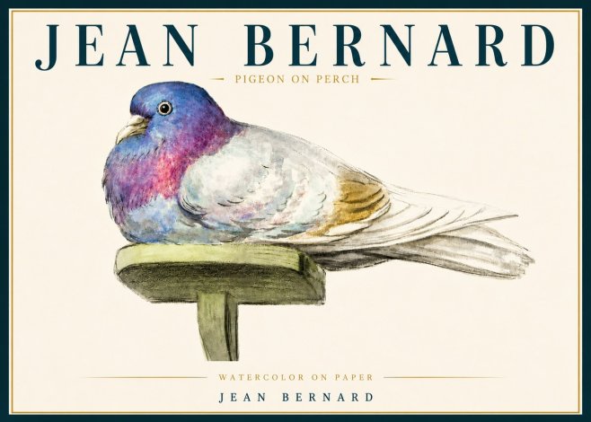 Jean Bernard Pigeon on Perch No5 - Poster