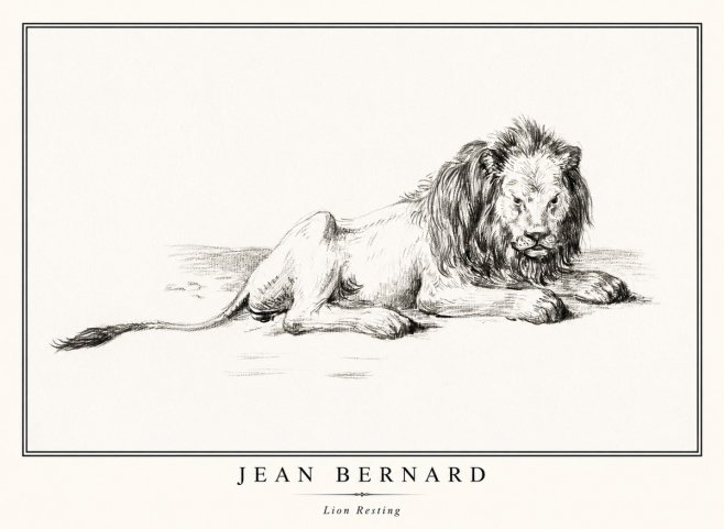 Jean Bernard Lion Resting No1 - Poster
