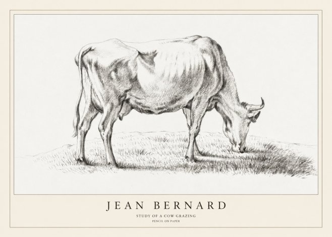 Jean Bernard Study of a Cow Grazing II No1 - Poster