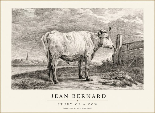 Jean Bernard Study of a Cow XV No1 - Poster