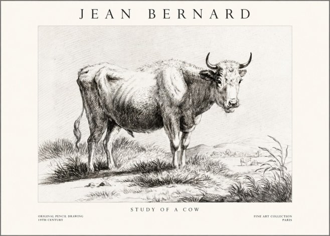 Jean Bernard Study of a Cow XVI No1 - Poster