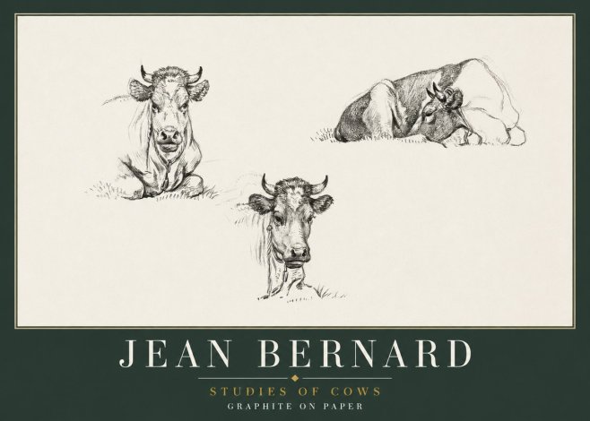 Jean Bernard Studies of Cows II No2 - Poster