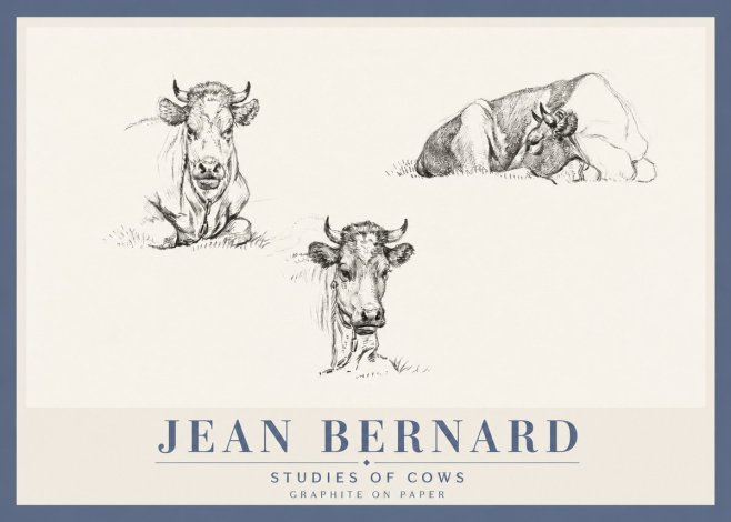 Jean Bernard Studies of Cows II No4 - Poster
