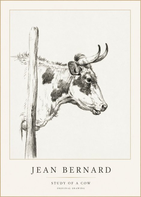 Jean Bernard Study of a Cow XVII No1 - Poster