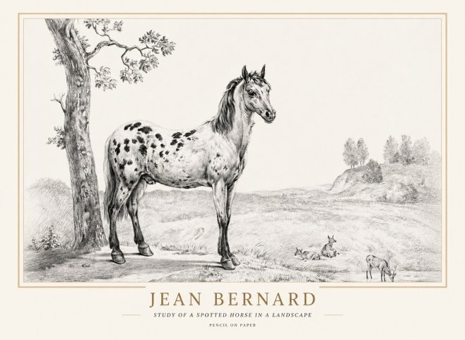 Jean Bernard Study of a Spotted Horse in a Landscape No1 - Poster
