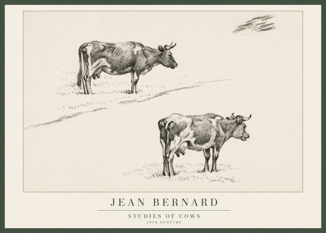 Jean Bernard Studies of Cows III No1 - Poster