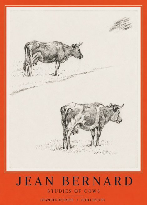 Jean Bernard Studies of Cows III No6 - Poster