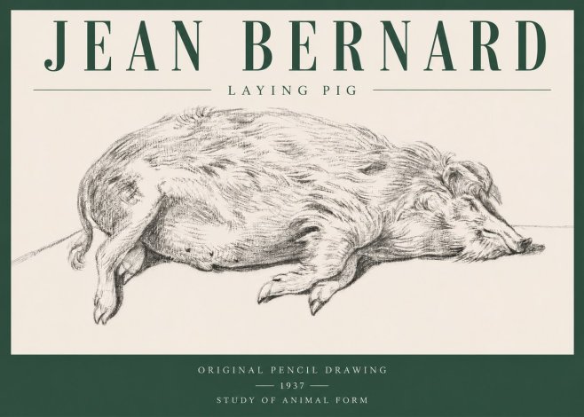 Jean Bernard Laying Pig No3 - Poster