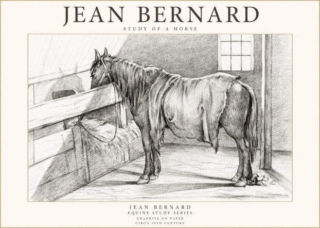 Jean Bernard Study of a Horse XIII No1 - Poster