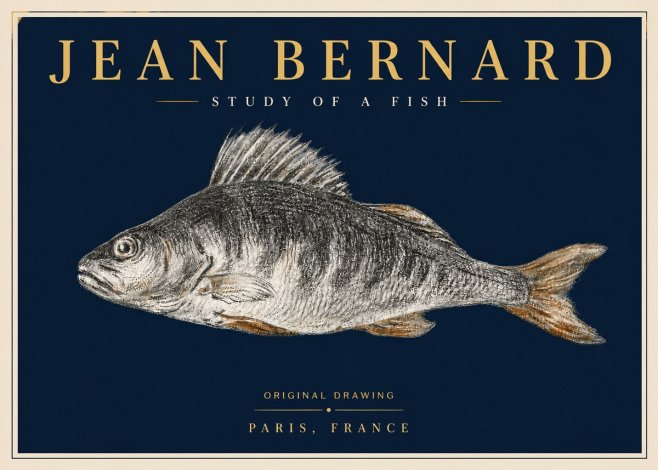 Jean Bernard Study of a Fish IV No6 - Poster