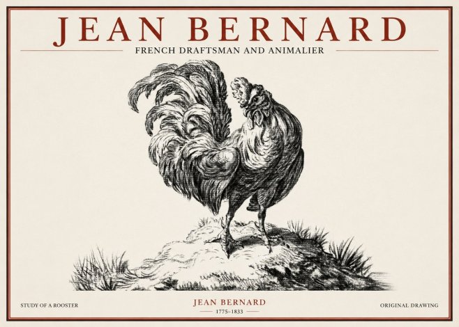 Jean Bernard Study of a Rooster No1 - Poster