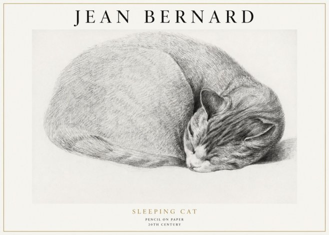 Jean Bernard Sleeping Cat IX No1 - Poster
