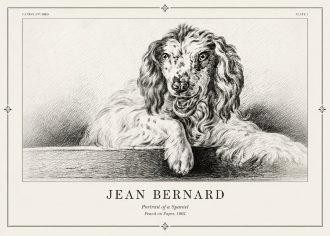 Jean Bernard Portrait of a Spaniel No2 - Poster