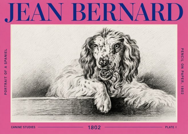 Jean Bernard Portrait of a Spaniel No6 - Poster