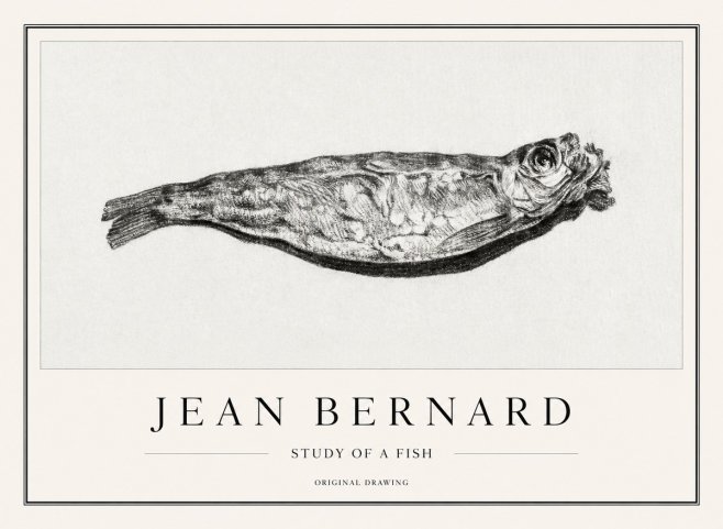 Jean Bernard Study of a Fish V No1 - Poster