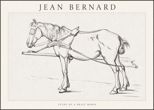 Jean Bernard Study of a Draft Horse II No1 - Poster