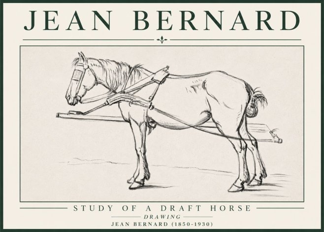 Jean Bernard Study of a Draft Horse II No4 - Poster
