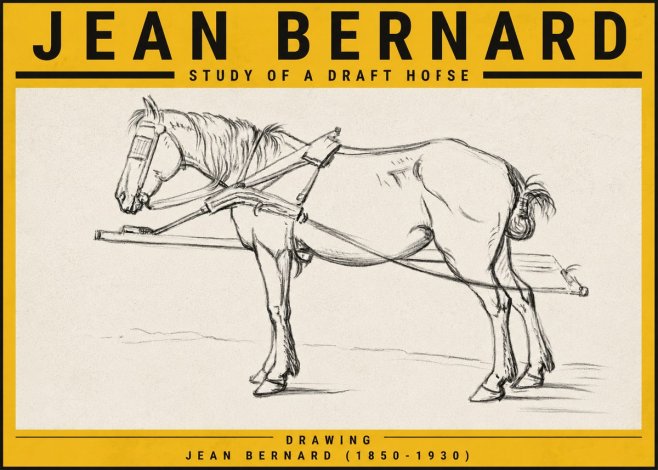 Jean Bernard Study of a Draft Horse II No5 - Poster
