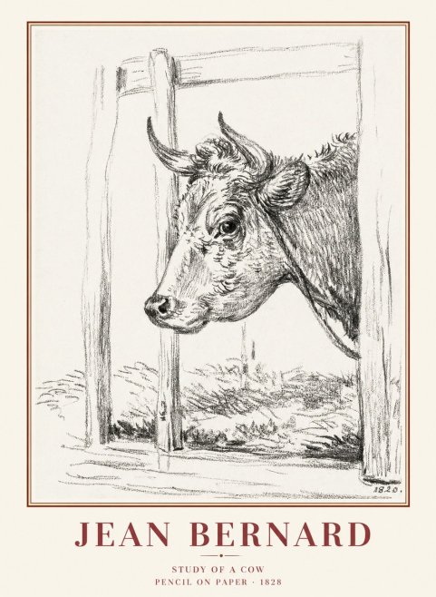 Jean Bernard Study of a Cow XVIII No1 - Poster