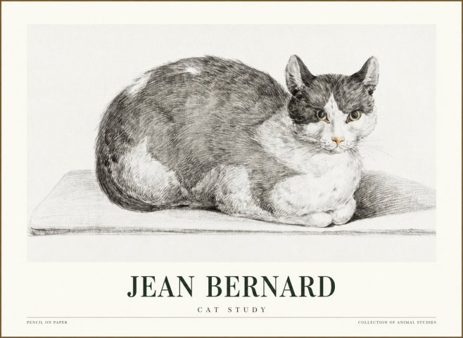 Jean Bernard Cat Study XI No1 - Poster