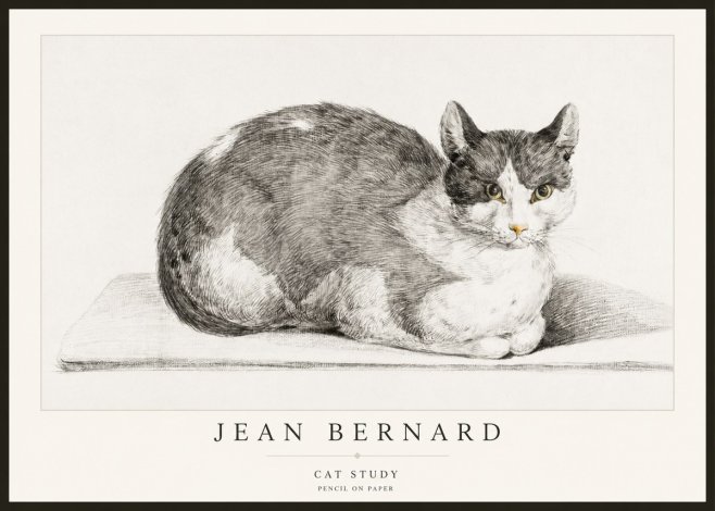 Jean Bernard Cat Study XI No2 - Poster
