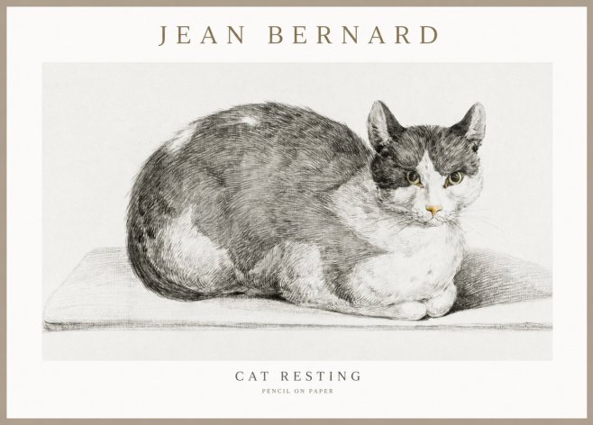 Jean Bernard Cat Study XI No3 - Poster