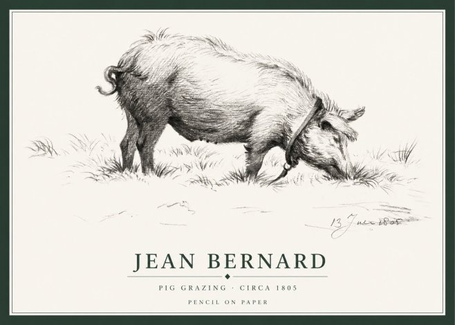 Jean Bernard Pig Grazing No1 - Poster
