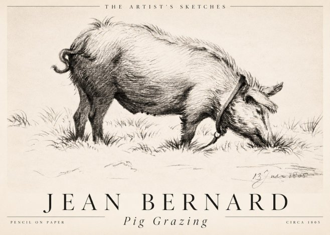 Jean Bernard Pig Grazing No2 - Poster