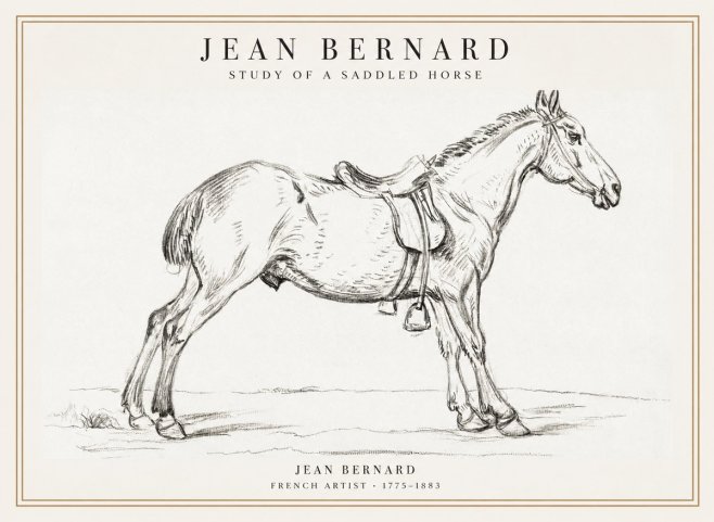 Jean Bernard Study of a Saddled Horse No1 - Poster
