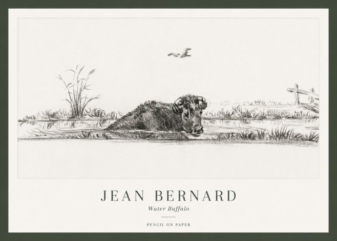 Jean Bernard Study of a Water Buffalo No2 - Poster