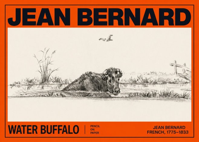 Jean Bernard Study of a Water Buffalo No3 - Poster