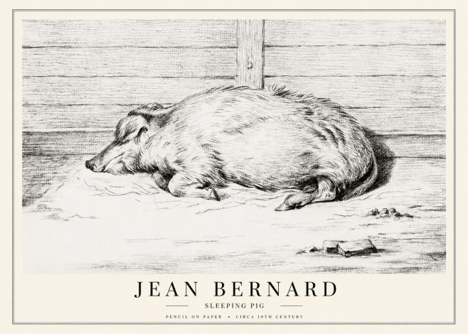 Jean Bernard Sleeping Pig I No1 - Poster