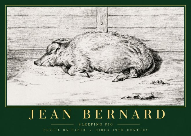 Jean Bernard Sleeping Pig I No3 - Poster