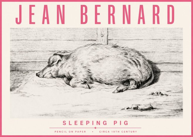 Jean Bernard Sleeping Pig I No4 - Poster