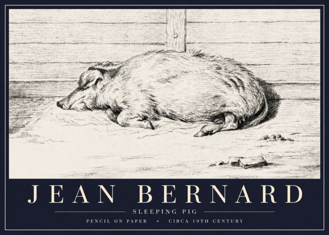 Jean Bernard Sleeping Pig I No6 - Poster
