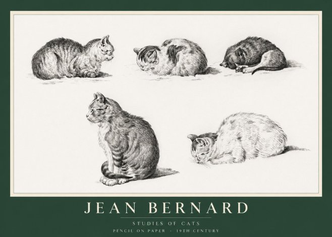 Jean Bernard Studies of Cats No1 - Poster