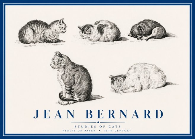 Jean Bernard Studies of Cats No3 - Poster