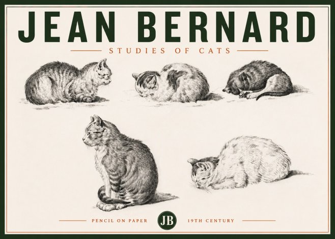 Jean Bernard Studies of Cats No4 - Poster