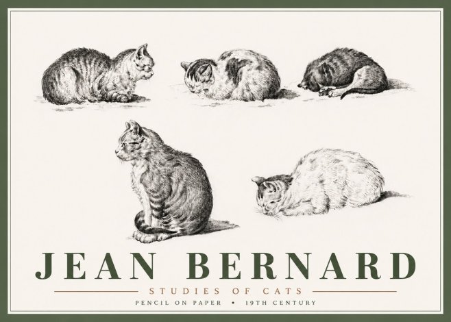 Jean Bernard Studies of Cats No6 - Poster