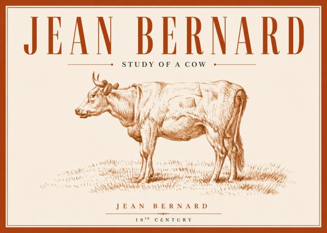 Jean Bernard Study of a Cow XIX No6 - Poster
