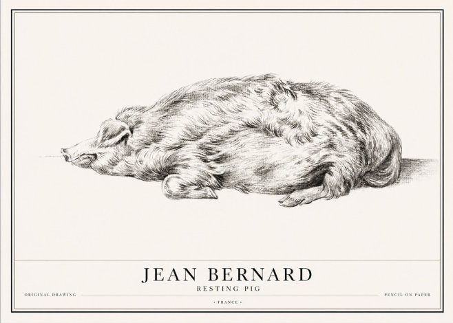 Jean Bernard Resting Pig II No1 - Poster