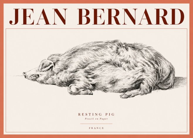 Jean Bernard Resting Pig II No4 - Poster
